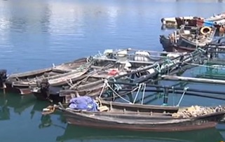 青島銀沙灘一漁船突發(fā)火災 兩名船員跳海逃生
