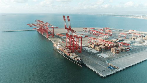 地中海沿岸最先進碼頭開港,它的運營管理者是家上海企業
